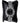 Obsidian Vault Watch